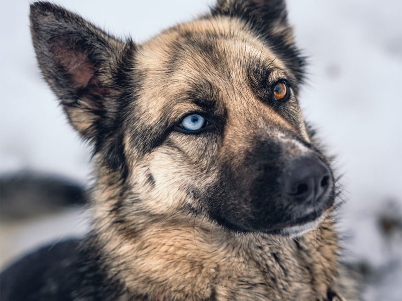 Eye-Catching-Advertising